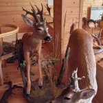 phoca_thumb_m_do hjovny 57 Fotogalerie